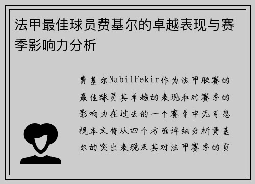 法甲最佳球员费基尔的卓越表现与赛季影响力分析