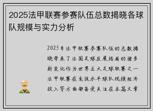 2025法甲联赛参赛队伍总数揭晓各球队规模与实力分析